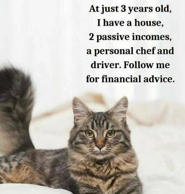Funny Memes (24 pics)