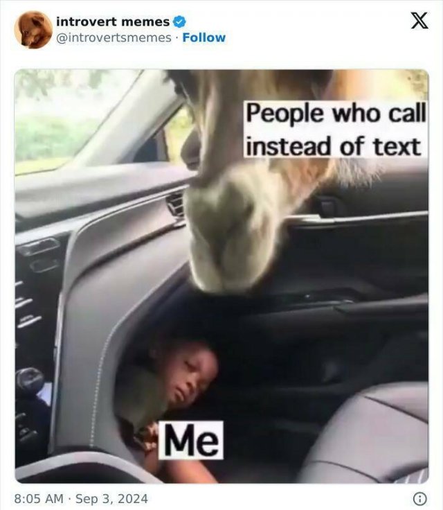 Memes For Introverts (25 pics)