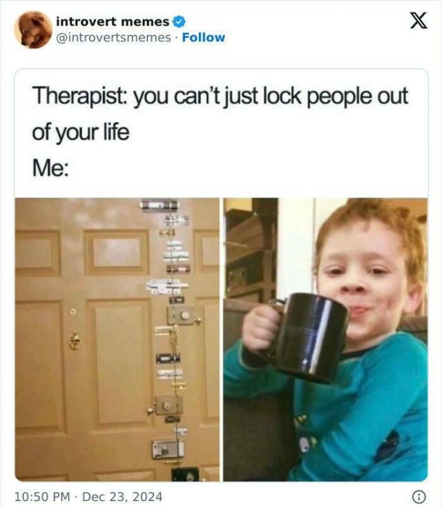 Memes For Introverts (25 pics)