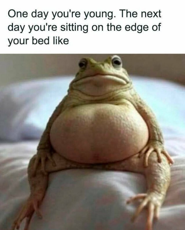 Funny Memes (24 pics)