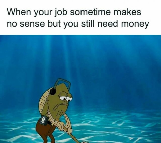 Funny Memes (24 pics)