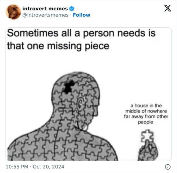 Memes For Introverts (25 pics)