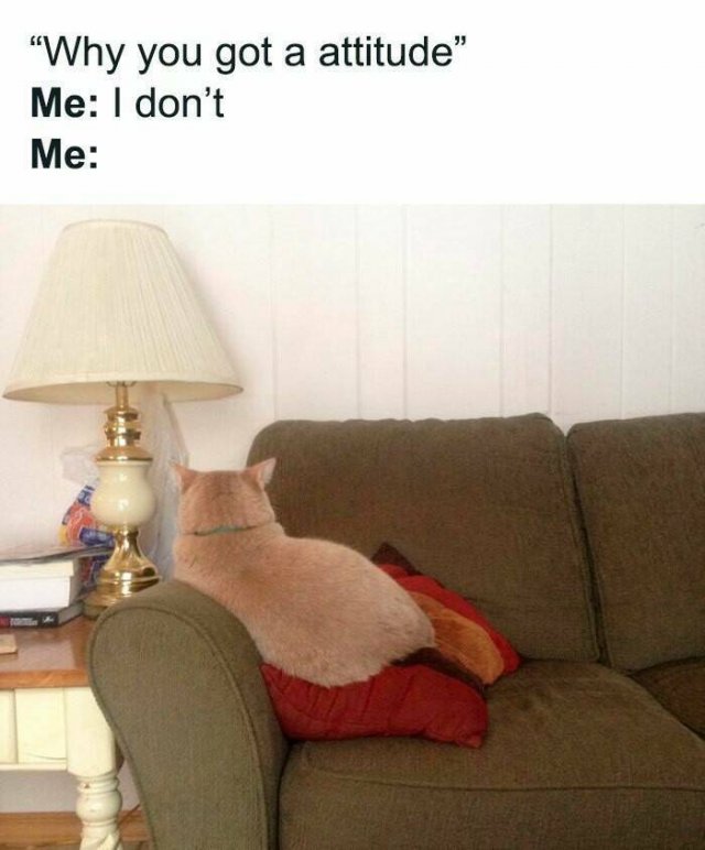 Funny Memes (24 pics)