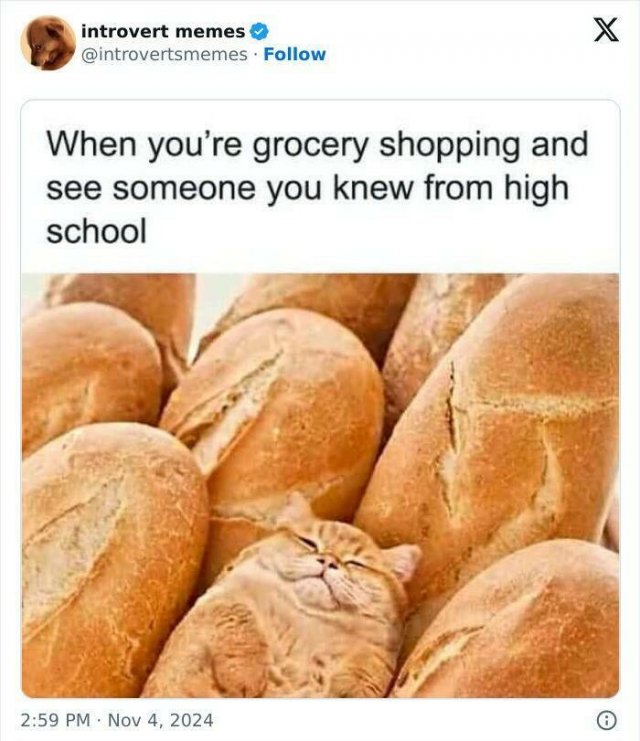 Memes For Introverts (25 pics)