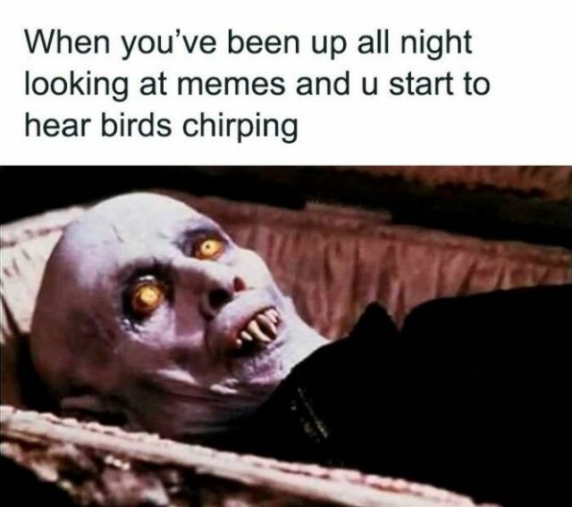 Funny Memes (24 pics)
