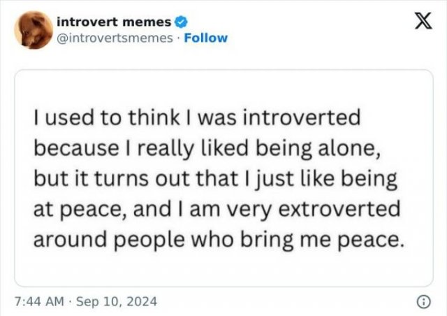 Memes For Introverts (25 pics)