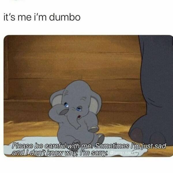 Funny Memes (24 pics)