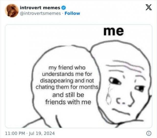 Memes For Introverts (25 pics)
