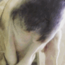 Sounds That People Don't Like (16 gifs) Sounds That People Don't Like (16 gifs)