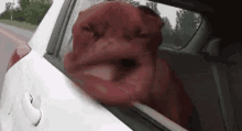 Sounds That People Don't Like (16 gifs) Sounds That People Don't Like (16 gifs)