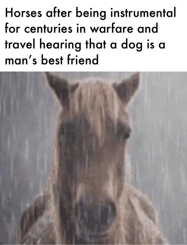 Historical Memes (21 pics)