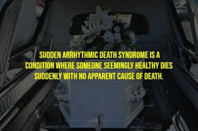 Creepy Facts (15 pics)
