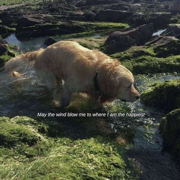 Positive Posts And Photos (15 pics)