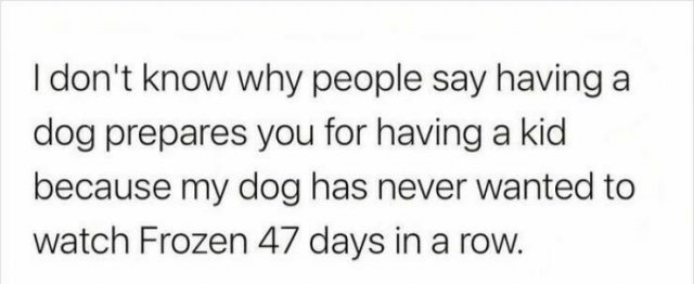 Jokes For Dog Lovers (24 pics)