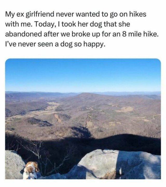 Jokes For Dog Lovers (24 pics)