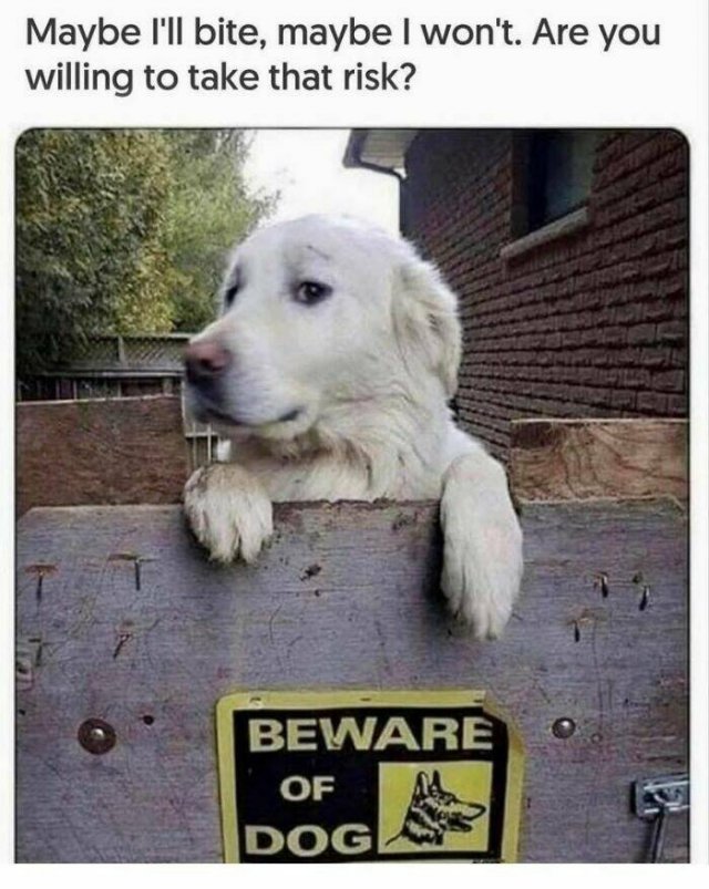 Jokes For Dog Lovers (24 pics)