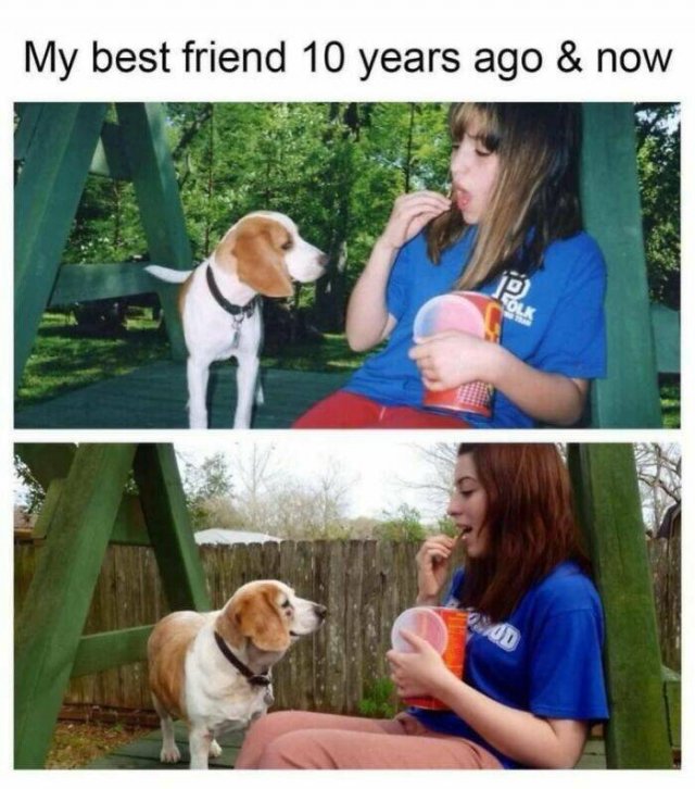 Jokes For Dog Lovers (24 pics)