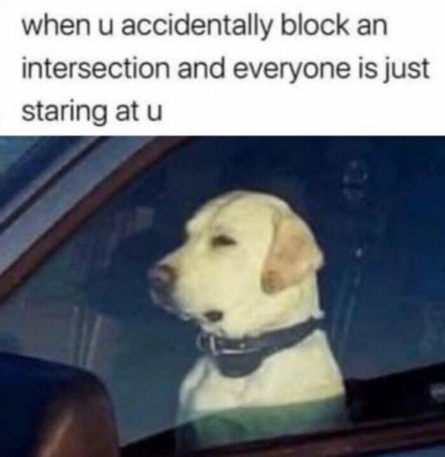 Jokes For Dog Lovers (24 pics)