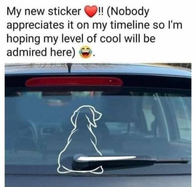 Jokes For Dog Lovers (24 pics)