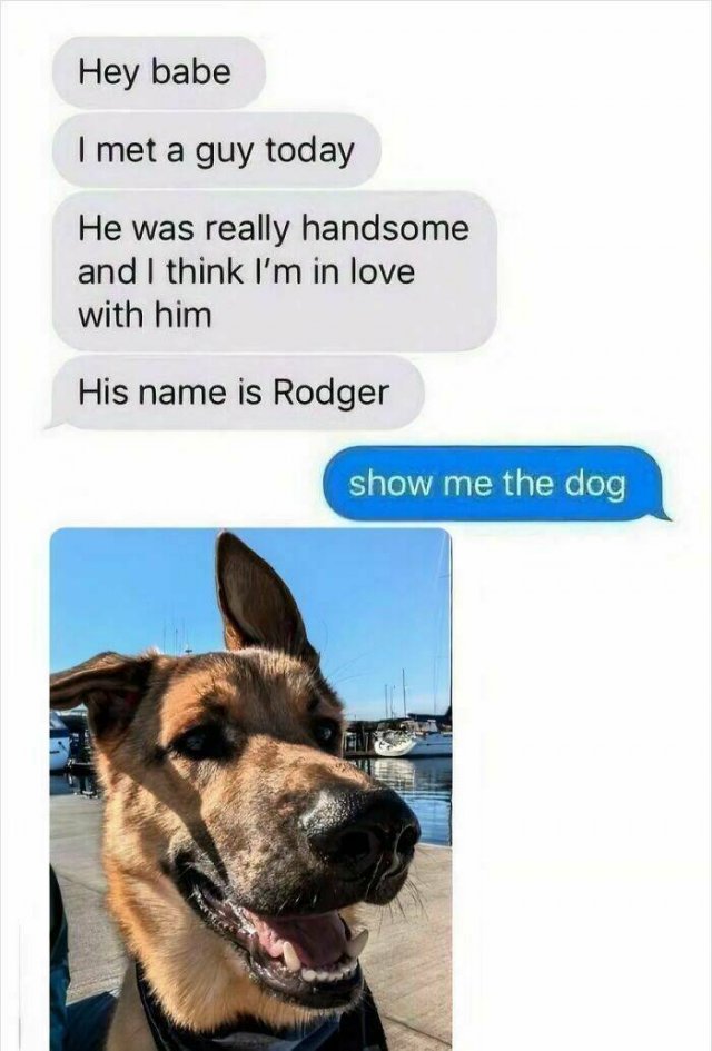 Jokes For Dog Lovers (24 pics)
