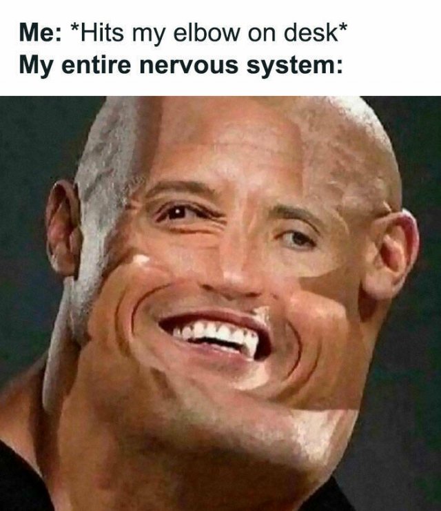 Truthful Memes (24 pics)
