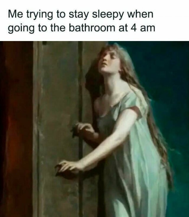Truthful Memes (24 pics)