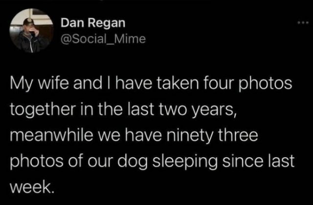 Jokes For Dog Lovers (24 pics)
