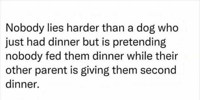 Jokes For Dog Lovers (24 pics)
