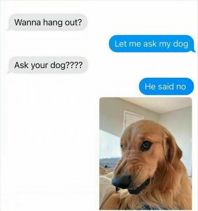 Jokes For Dog Lovers (24 pics)