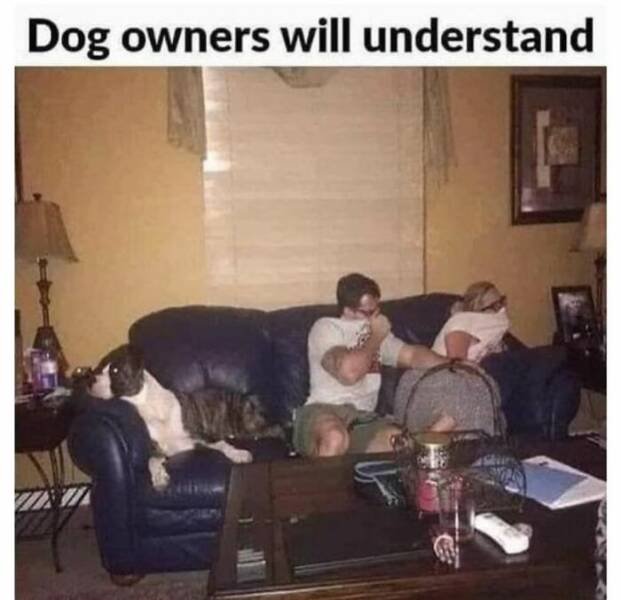 Jokes For Dog Lovers (24 pics)