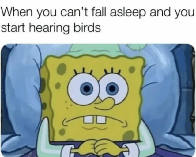 Truthful Memes (24 pics)