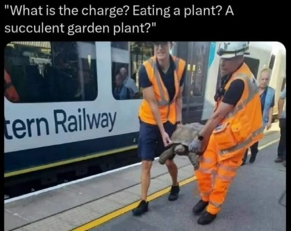 Funny Memes (33 pics)