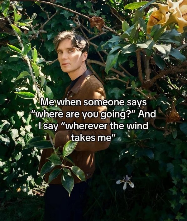 Funny Memes (33 pics)
