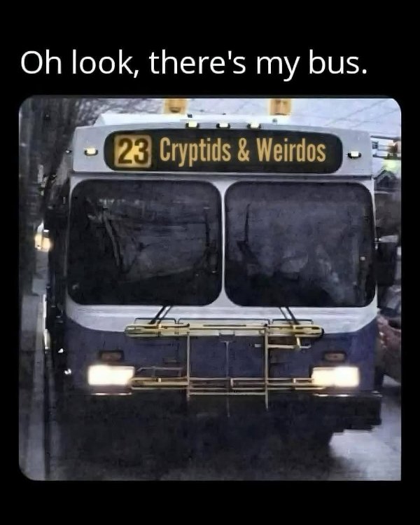 Funny Memes (33 pics)