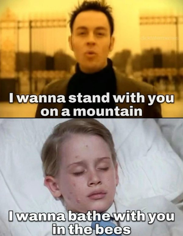 Funny Memes (33 pics)
