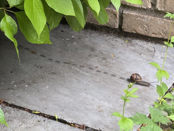 Interesting Finds And Discoveries (22 pics)