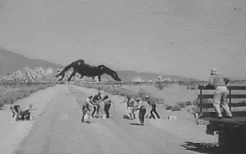 Creepy Facts (15 gifs) Creepy Facts (15 gifs)