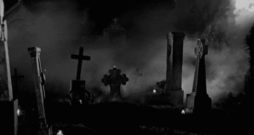 Creepy Facts (15 gifs) Creepy Facts (15 gifs)