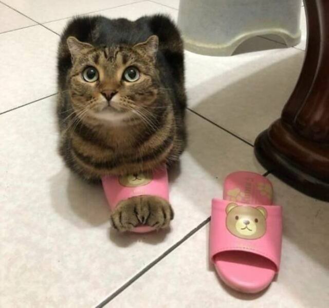 What Is Going On Here? (25 pics)