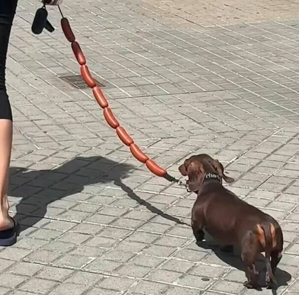 What Is Going On Here? (25 pics)
