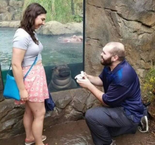 What Is Going On Here? (25 pics)
