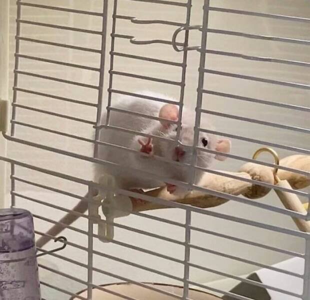 What Is Going On Here? (25 pics)