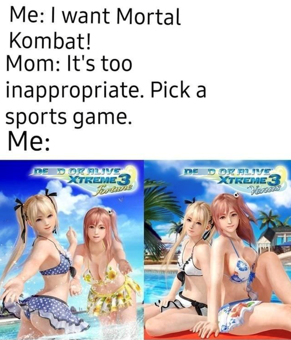 Pictures For Gamers (33 pics)