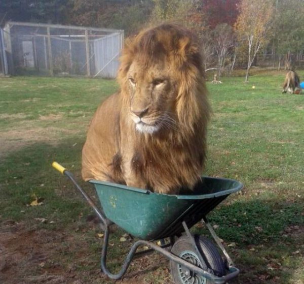 Funny And Weird Situations (28 pics)