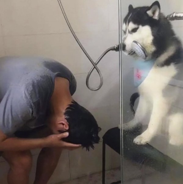 Funny And Weird Situations (28 pics)