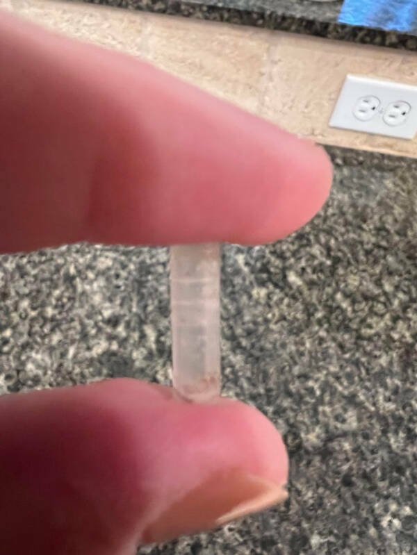 What Are These Things? (15 pics)