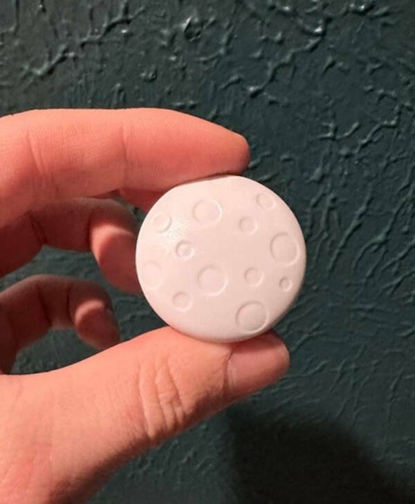 What Are These Things? (15 pics)