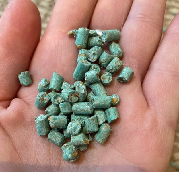 What Are These Things? (15 pics)