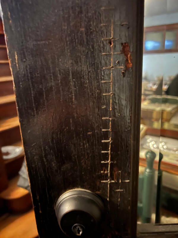 What Are These Things? (15 pics)