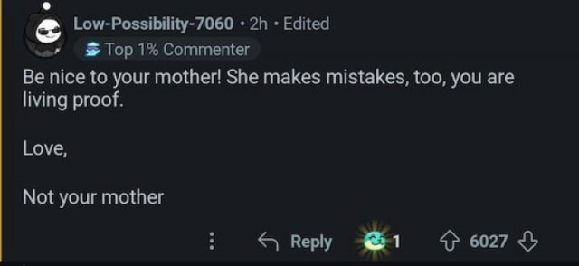 Funny Comments (22 pics)